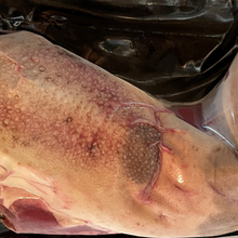 Load image into Gallery viewer, Tongue
