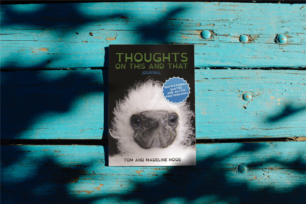 Thoughts on This and That: Journal